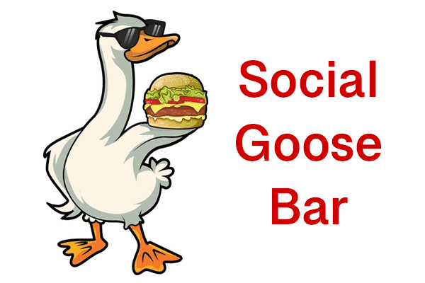 Bingo Night @ Social Goose Bar