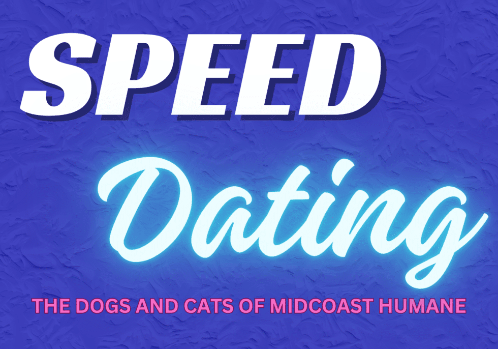 Speed Dating: Meet Your Paw-fect Companion!