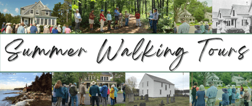 Walking Tour: Birds and Blueberries
