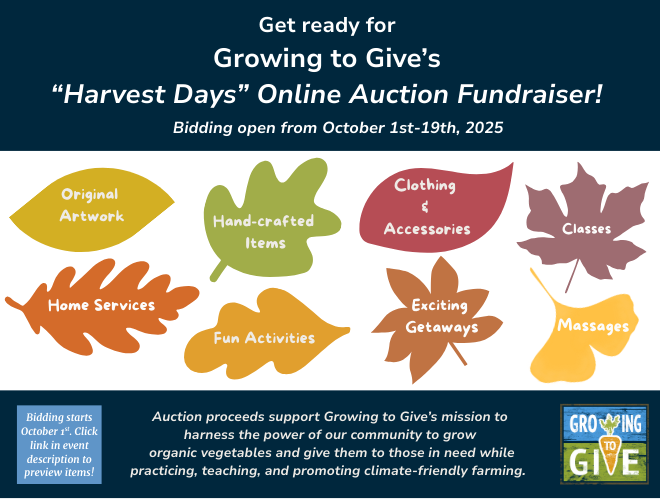 Auction 2025 community calendar graphic