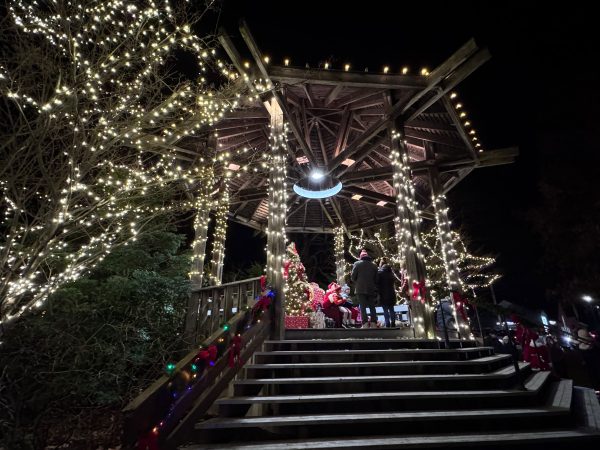 BDA Annual Tree Lighting 18