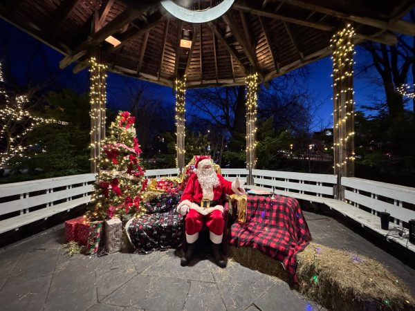 BDA Annual Tree Lighting 32