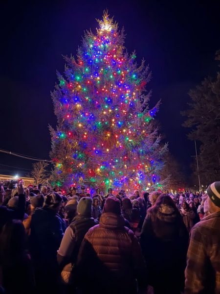 BDA Annual Tree Lighting 42