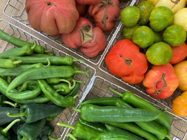 Brunswick Farmers Market 1