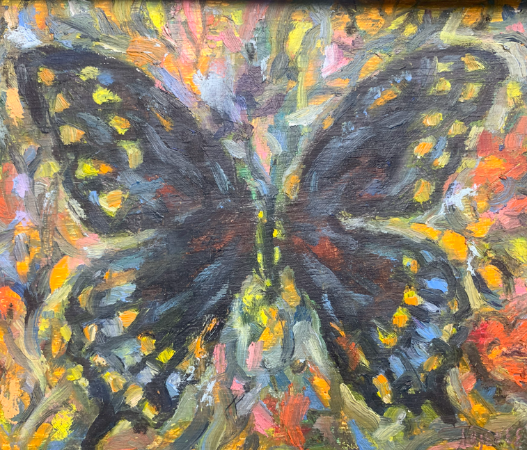 Butterfly 6e617d11