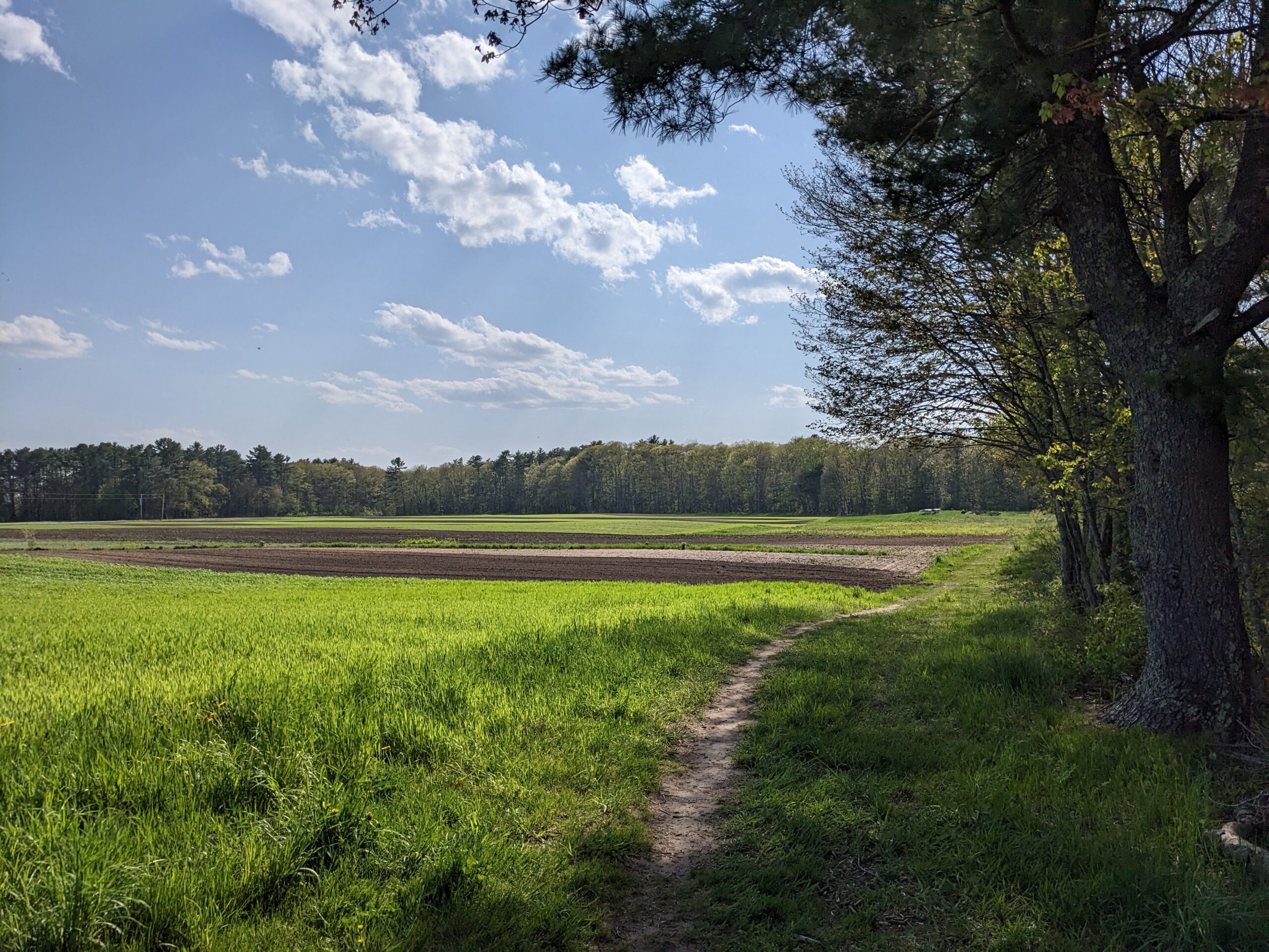 Crystal Spring Farm CREDIT Sue Pinette