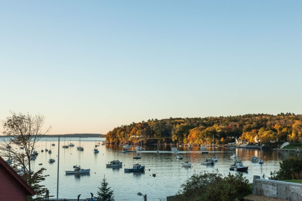 Sexual Assault Support Services of Midcoast Maine 1