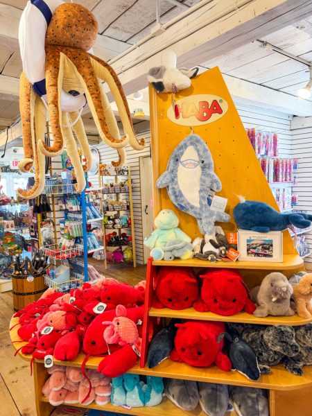 island treasure toy store 1