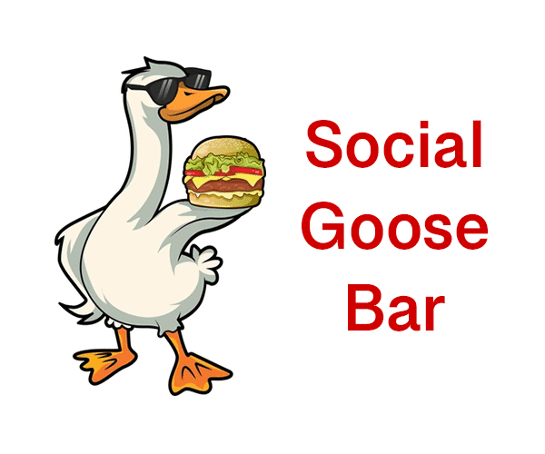 social goose bar 1