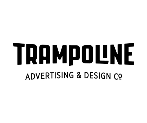 trampoline design 1